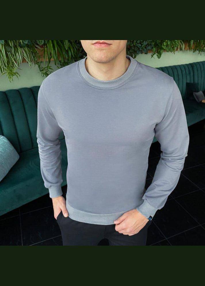 Сірий стильний чоловічий світшот однотонний сірий Freedom однотонний без декору (342741120)