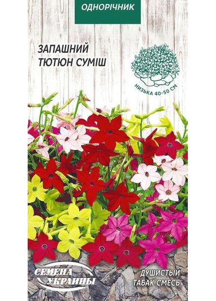 Семена цветы душистый табак Насіння України (356120087)