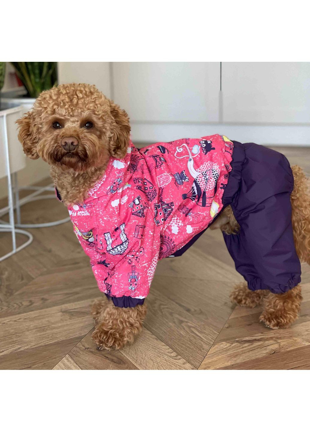 Дождевик Париж M-91 Розовый Размер 5 Dogs Bomba (370275489)