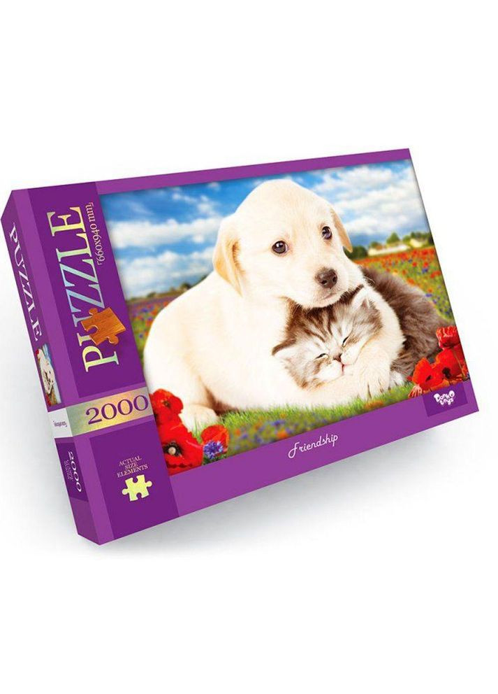 Пазли "Дружба", 2000 елементів (C2000-01-09) Danko Toys (362432547)