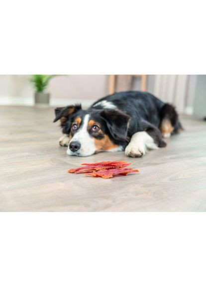 Лакомство Premio Ducky Stripes для собак кусочки из утки 100 г (*) Trixie (322590054)