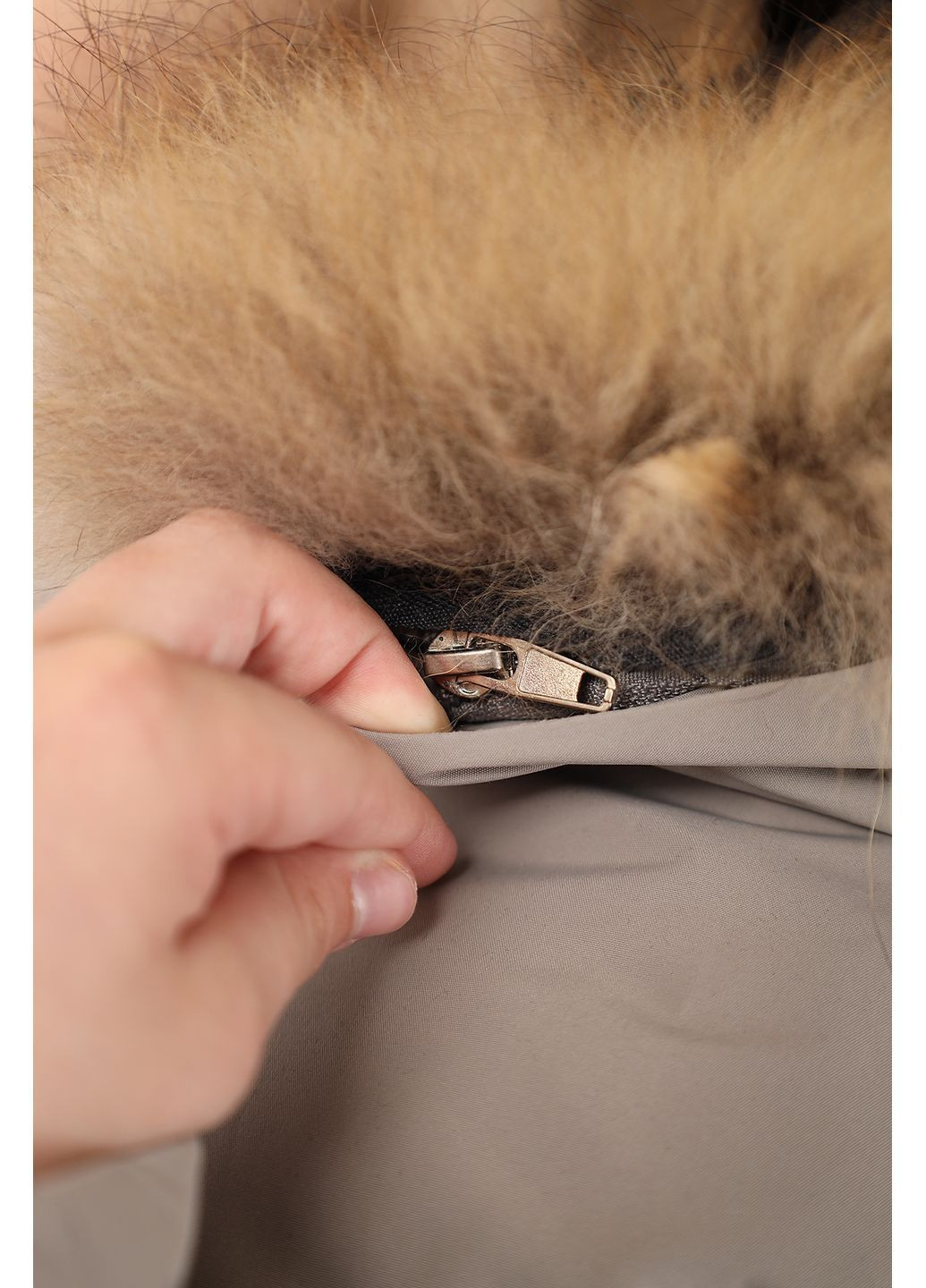 Бежевая зимняя куртка для мальчика цвет бежевый цб-00280163 JPLT