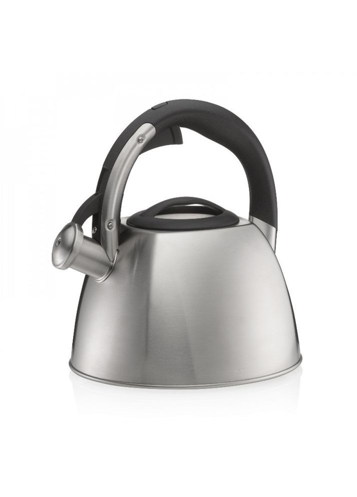 Чайник Vitus, металлик, 2,4 л (12078) Kela (370641713)