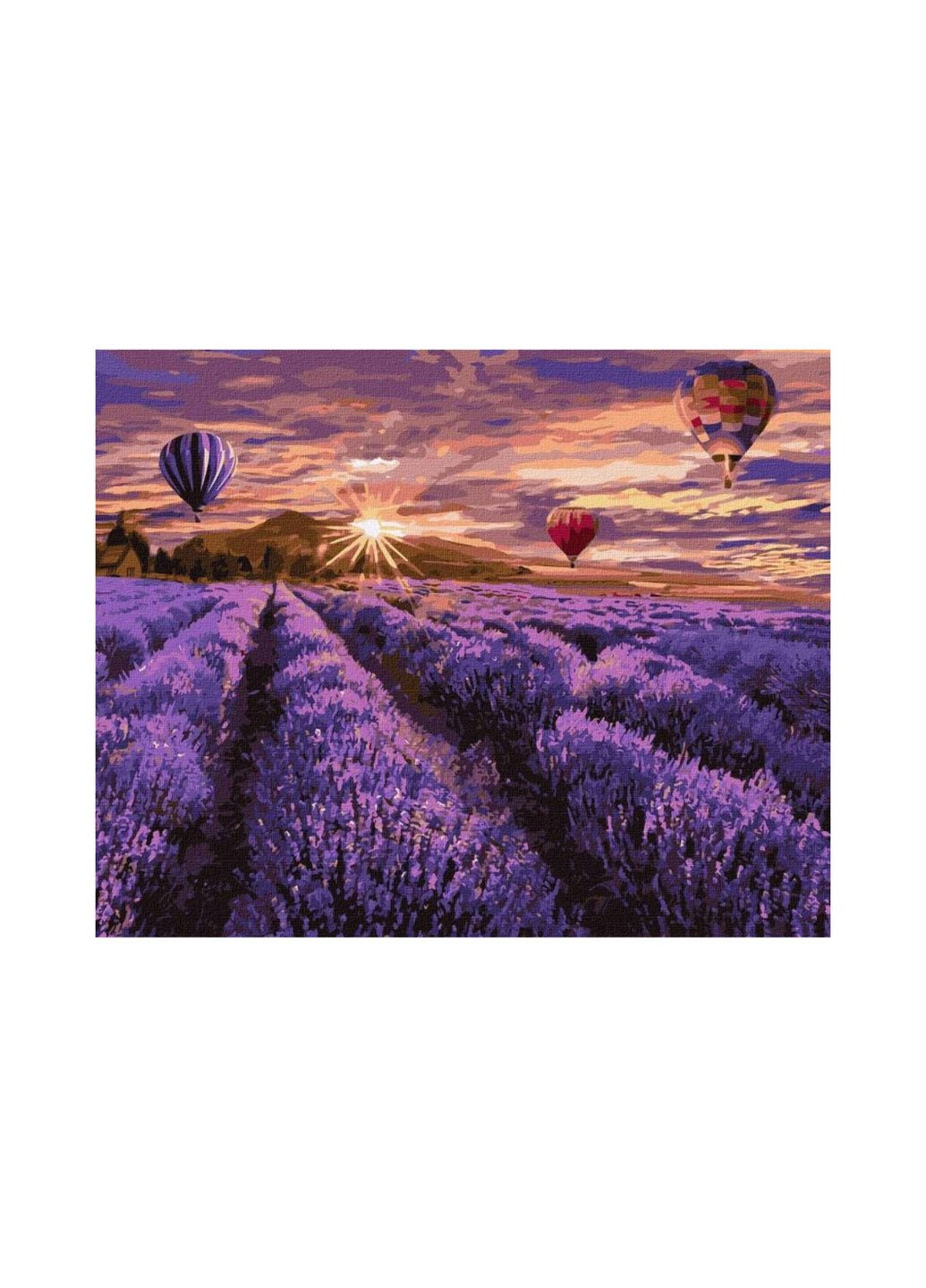 Картина по номерам "Цветущая лаванда" IDEYKA (282940173)