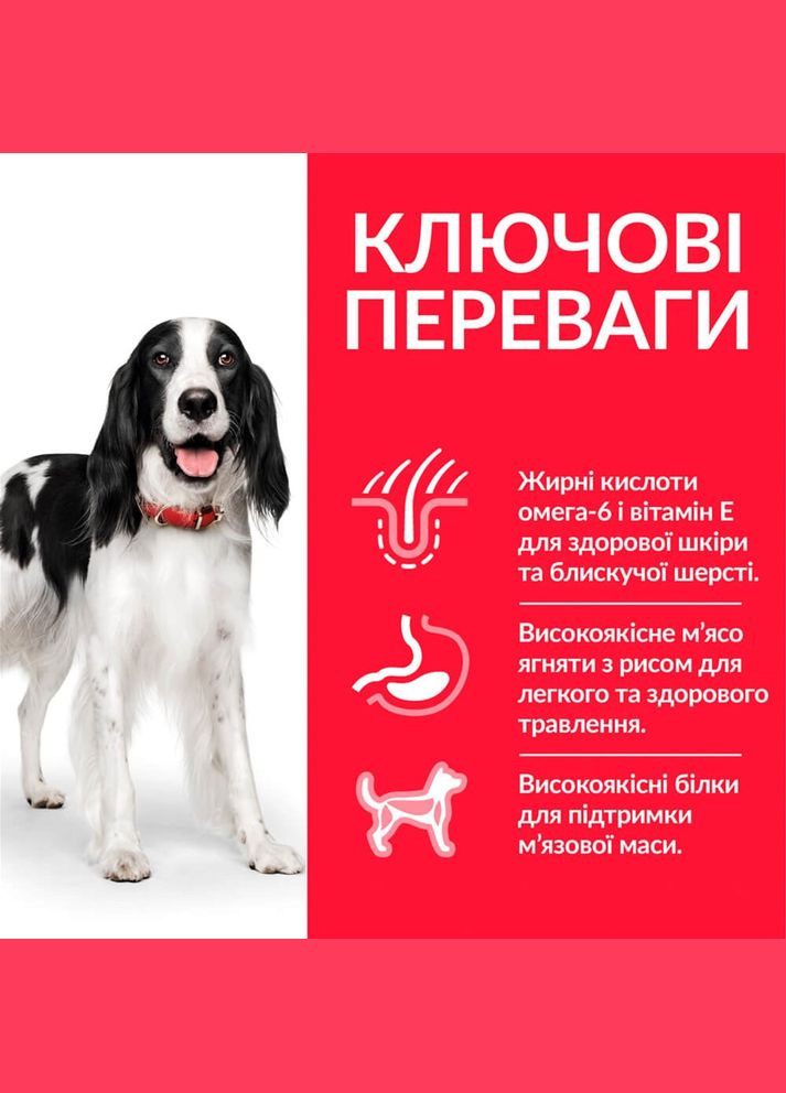 Сухий корм для дорослих собак середніх порід Science Plan Adult Medium Breed з ягнятком та рисом 2.5 кг Hill's (315780141)