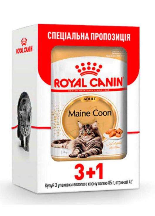 Набор влажного корма Maine Coon Adult Gravy (Купочки в соусе) для взрослых кошек породы Мейн-кун 3+1 Royal Canin (291449948)