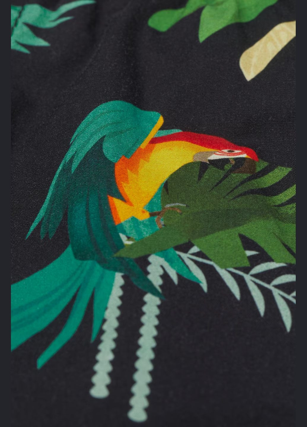 Шорты H&M (298769637)