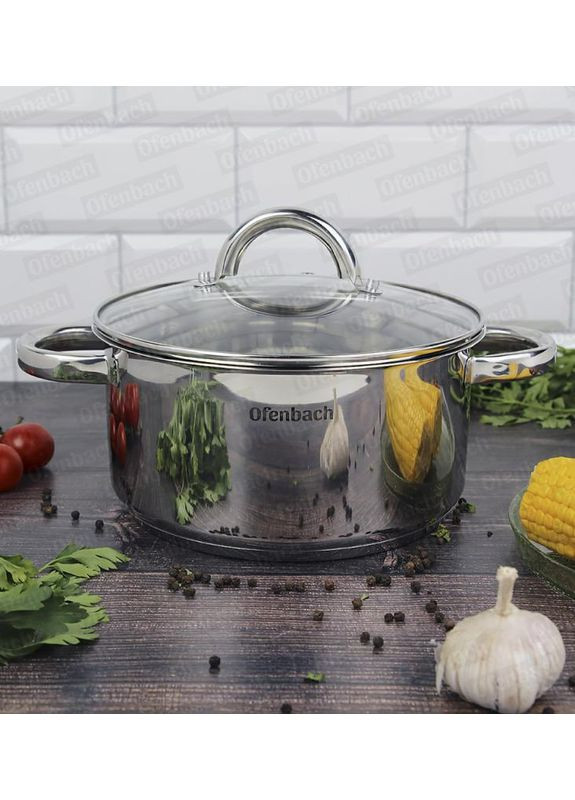 Каструля індукційна із нержавіючої сталі 3л зі скляною кришкою для приготування та запікання Ofenbach (368980930)