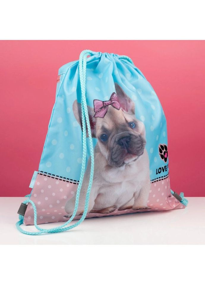 Сумка для обуви SB-10 Dolly Dog 533486 40х35 см 1 Вересня (328004521)