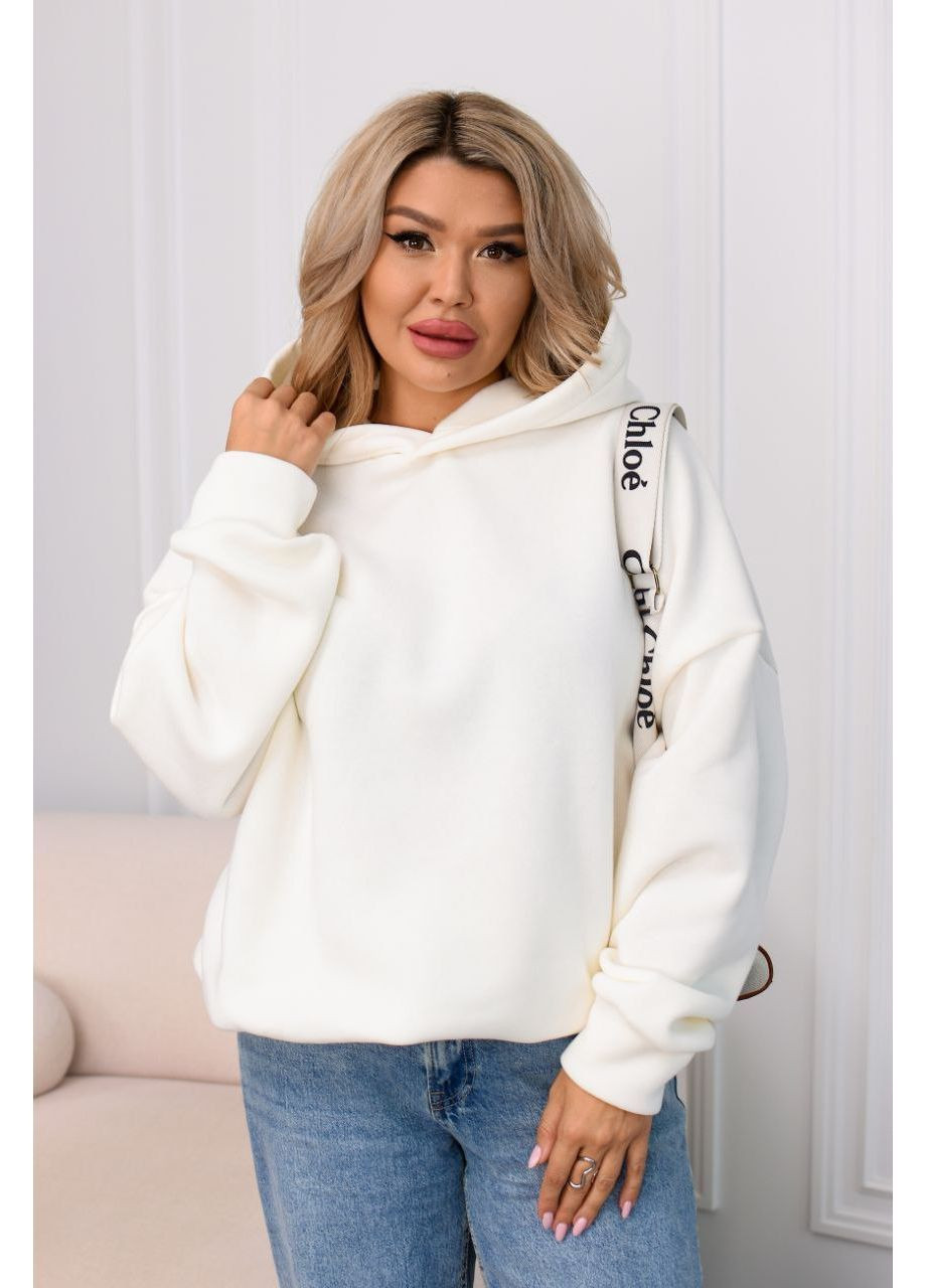 Худі оверсайз з утепленням No Brand (365804744)