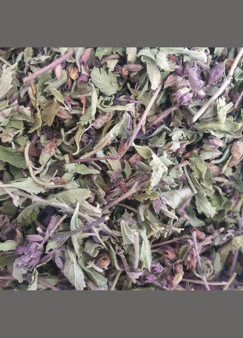 100 г дубровник звичайний/самосил трава сушена - свіжий урожай No Brand (334348237)