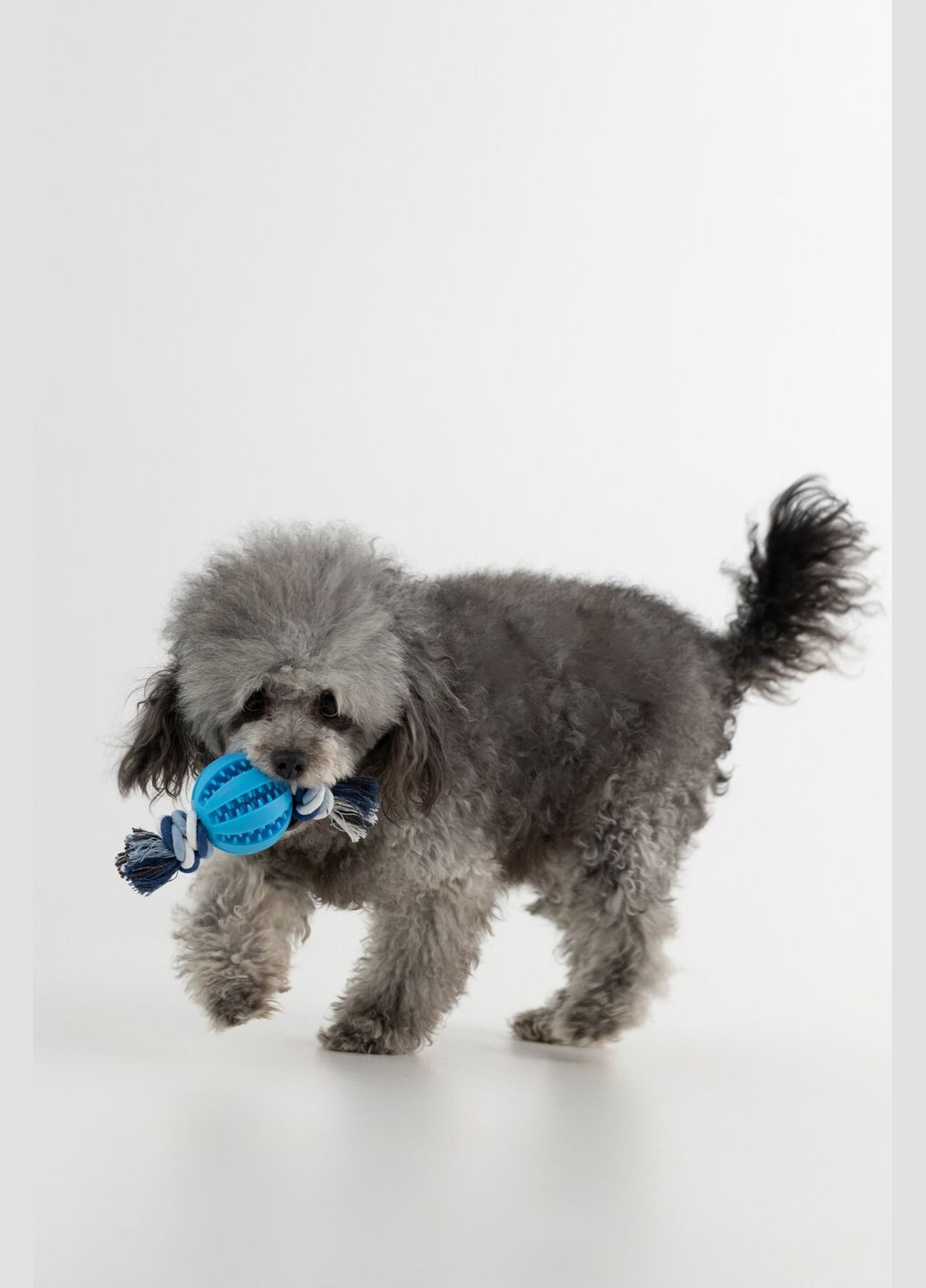 Іграшка мяч з вузлами для тварин KM52648 shop (2002014440795) KUMAOCHONGWUYONGPIN (365695726)