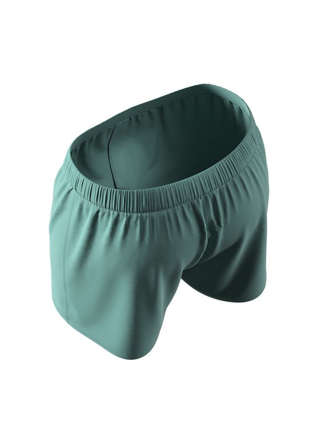 Сімейні труси (сімейки), м'ятний CS400-15 MAN's SET Shorts Cotton (367055556)