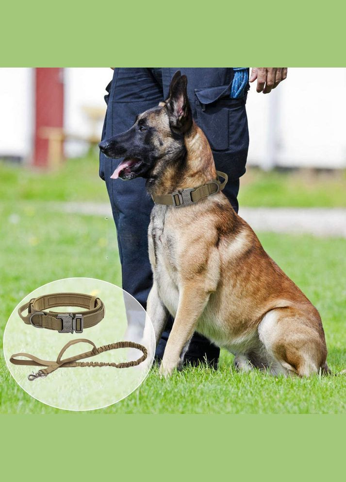 Ошейник с поводком для собак, нейлоновый с металлической пряжкой-фастекс, Коричневый L (45-55см) No Brand (299915646)