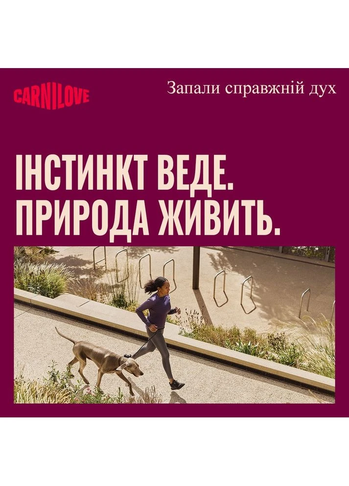 Сухий корм для цуценят Active Salmon and Turkey Puppy з лососем та індичкою 12 кг Carnilove (399748824)
