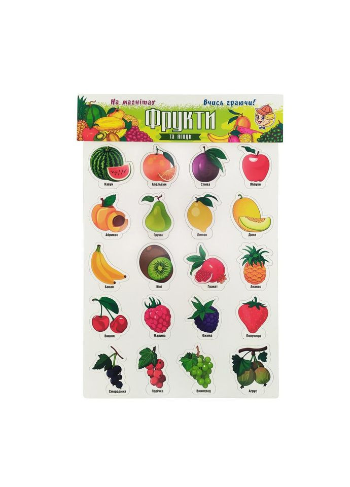 Набор магнитов на листе "Фрукты и ягоды" Artos 1250ATS Укр. No Brand (330603129)