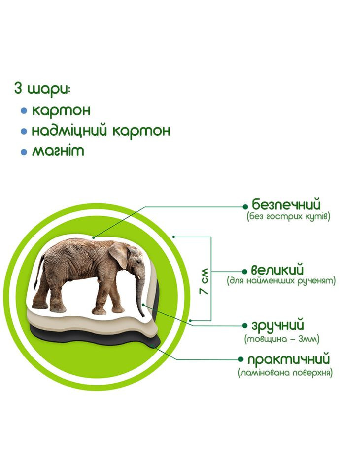 Набор магнитов Зоо 19шт ML4031-02 EN MAGDUM (334154654)