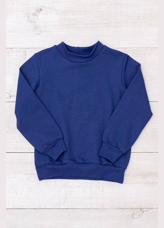 Темно-синий демисезонный утепленный джемпер для мальчика (оверсайз) однотонный (p-3507) Носи своє