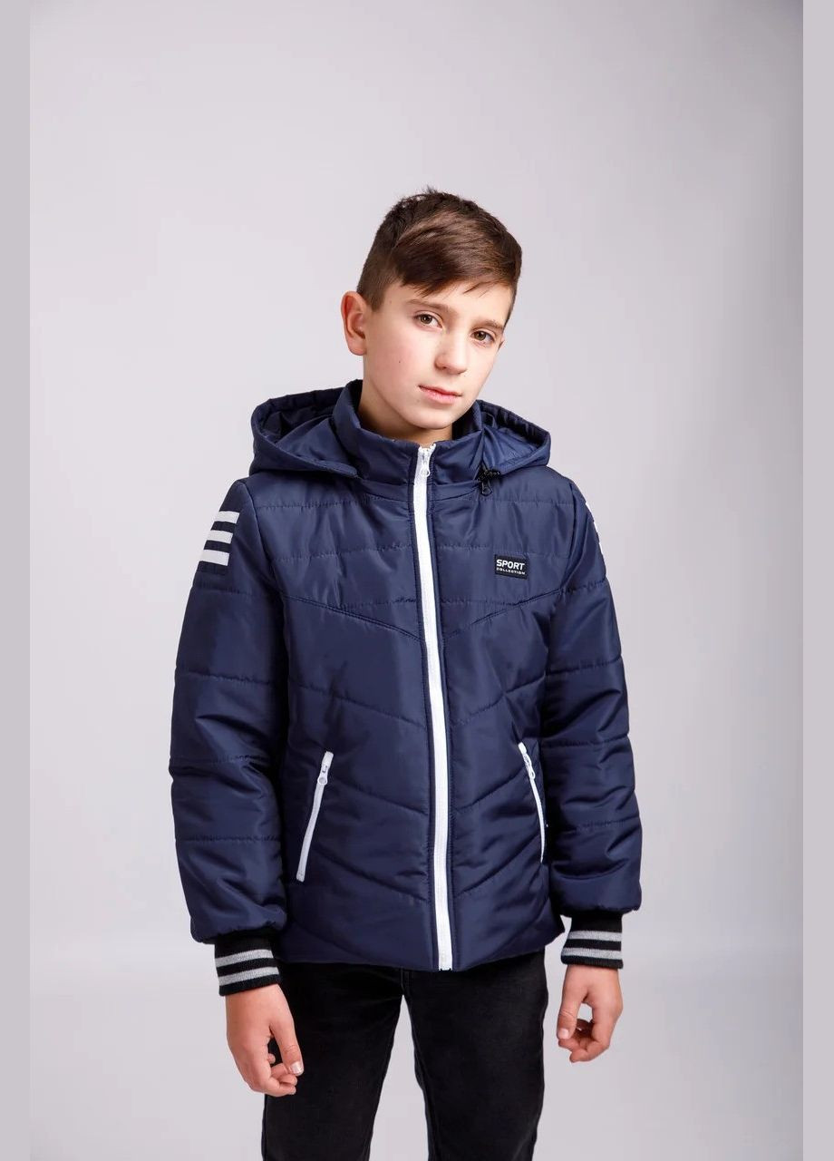 Синяя демисезонная курточка демисезонная браин Polin Line