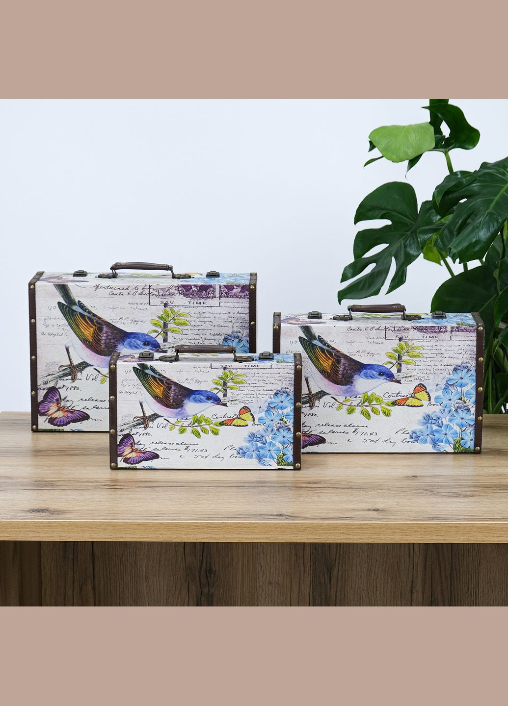 Валіза великий набір з 3-х - Пташка (SH31202-079) Гранд Презент (322190845)