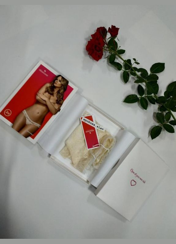 Модні мереживні жіночі трусики в кольорі екрі Л-ХЛ obsessiv 874-2 Obsessive (324833003)