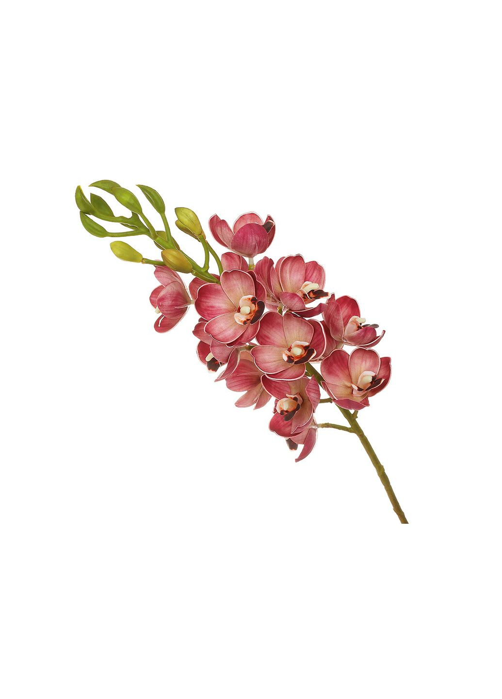 Декоративна Орхідея з латексу 82см No Brand (315638224)