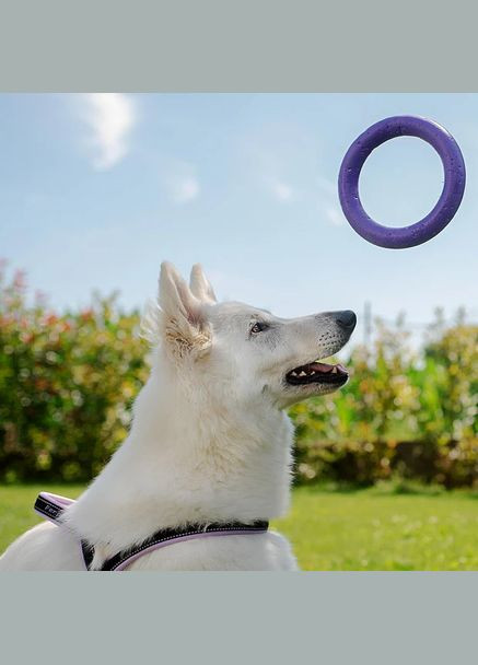 PULLER MIDI фітнес-іграшка для собак Ferplast (335587281)