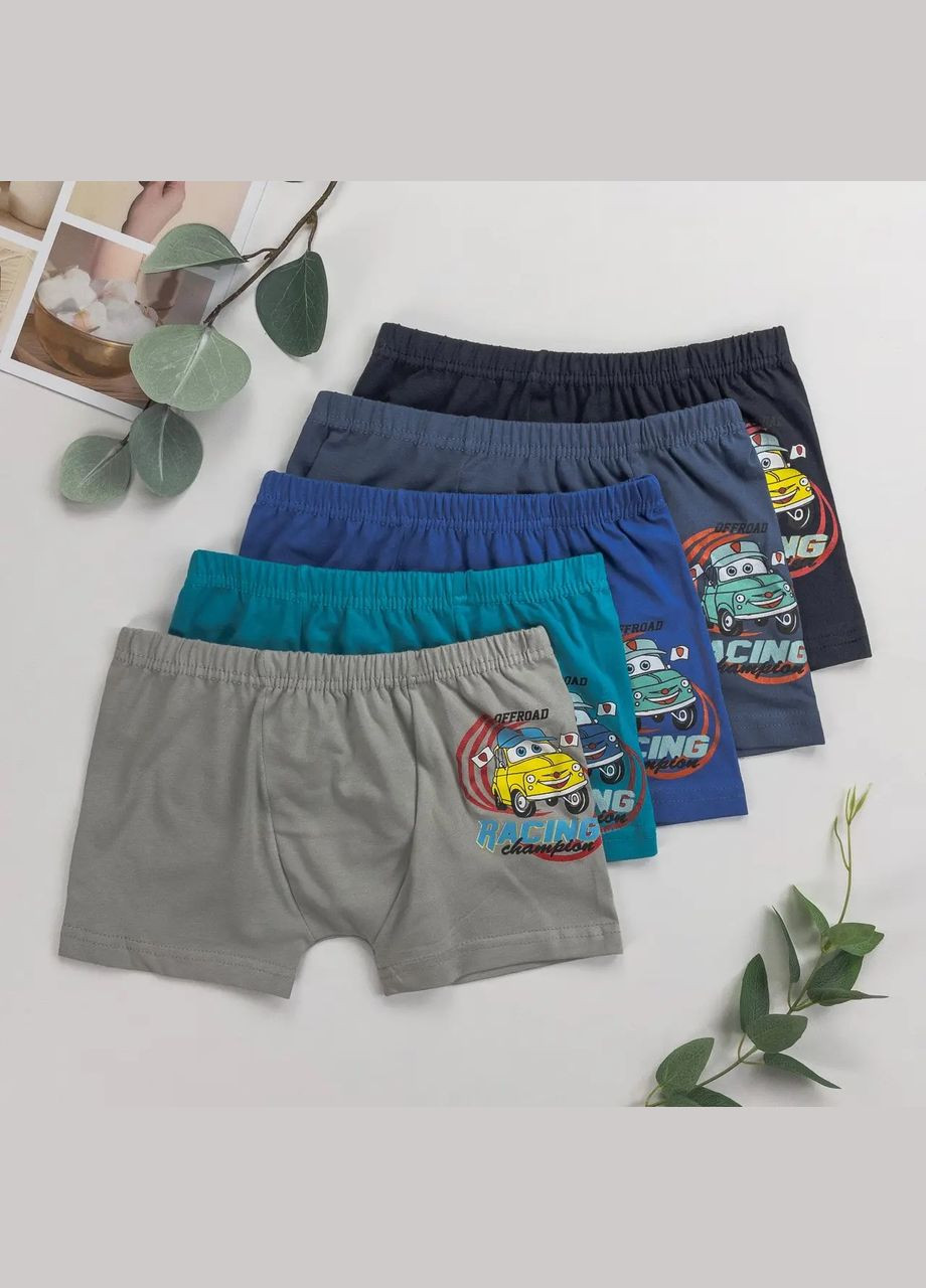 Набір дитячих трусів-боксерів для хлопчика (5 шт.) Nicoletta (304030077)