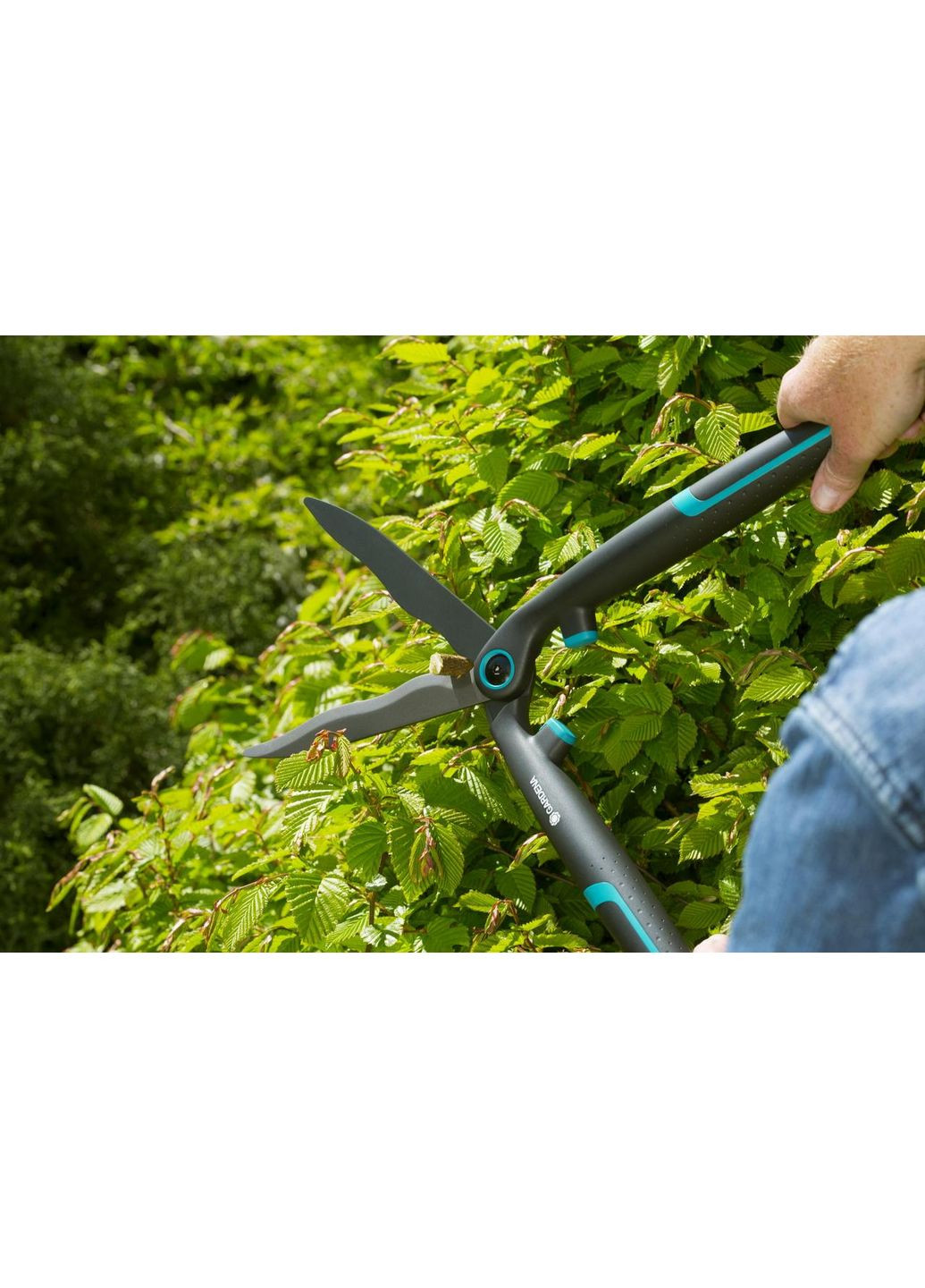 Ножницы для живой изгороди EasyCut (12301-20.000.00) Gardena (332972952)