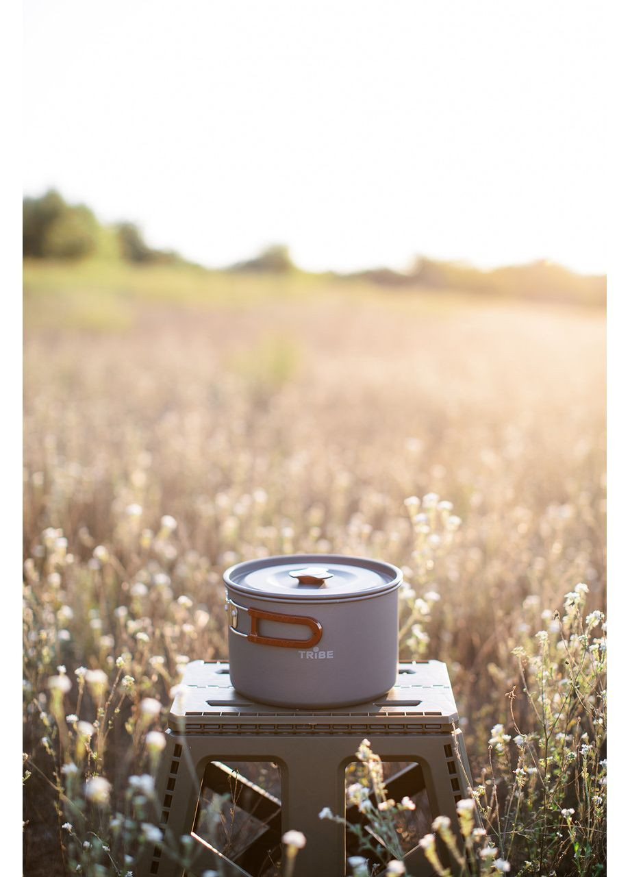 Котелок Pot 3 л Alu алюминиевый T-FH-0015-grey Tribe (368703625)