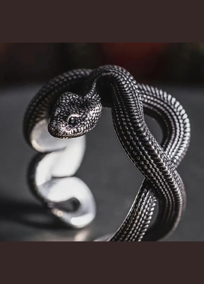Змія кільце, ретро панк. Без розмірів. Біжутерія No Brand (292866361)