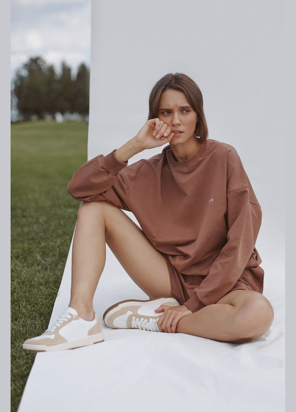 Коричневый свитшот, цвет коричневый ES8 (282969288)