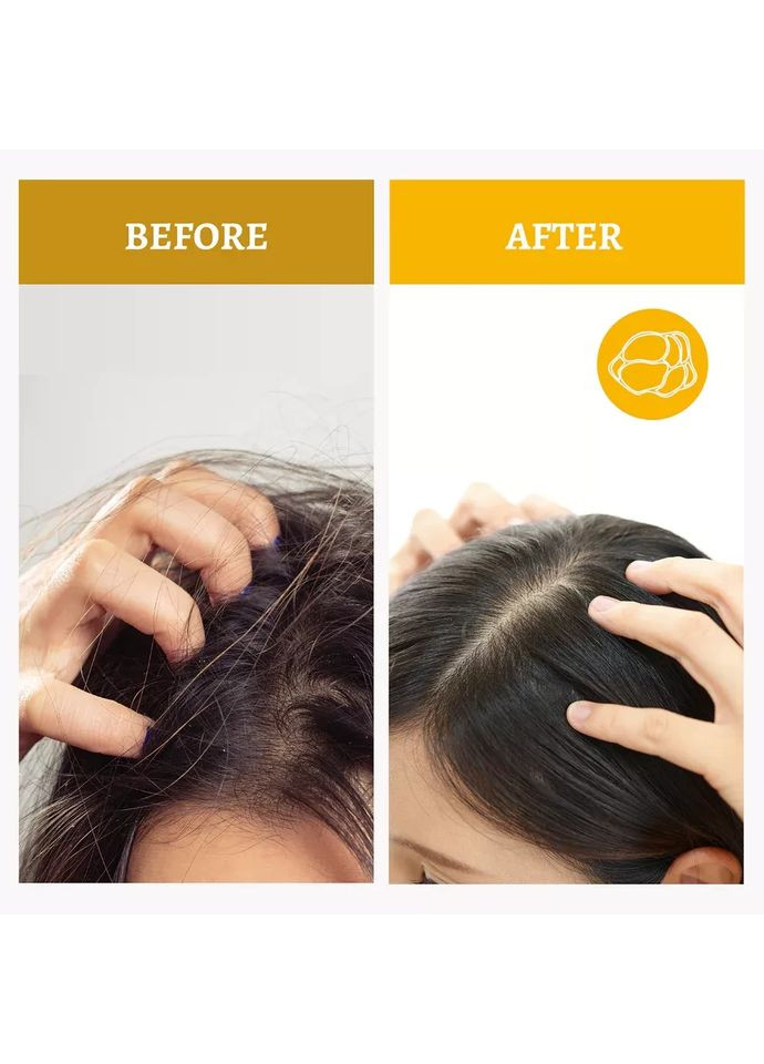 SH-RD Truffle Moisturizing Shampoo профессиональный увлажняющий шампунь на основе трюфеля, 200 мл Tilia (364273759)