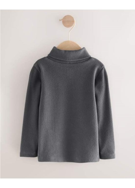 Разноцветный демисезонный лонгслив Next Trend