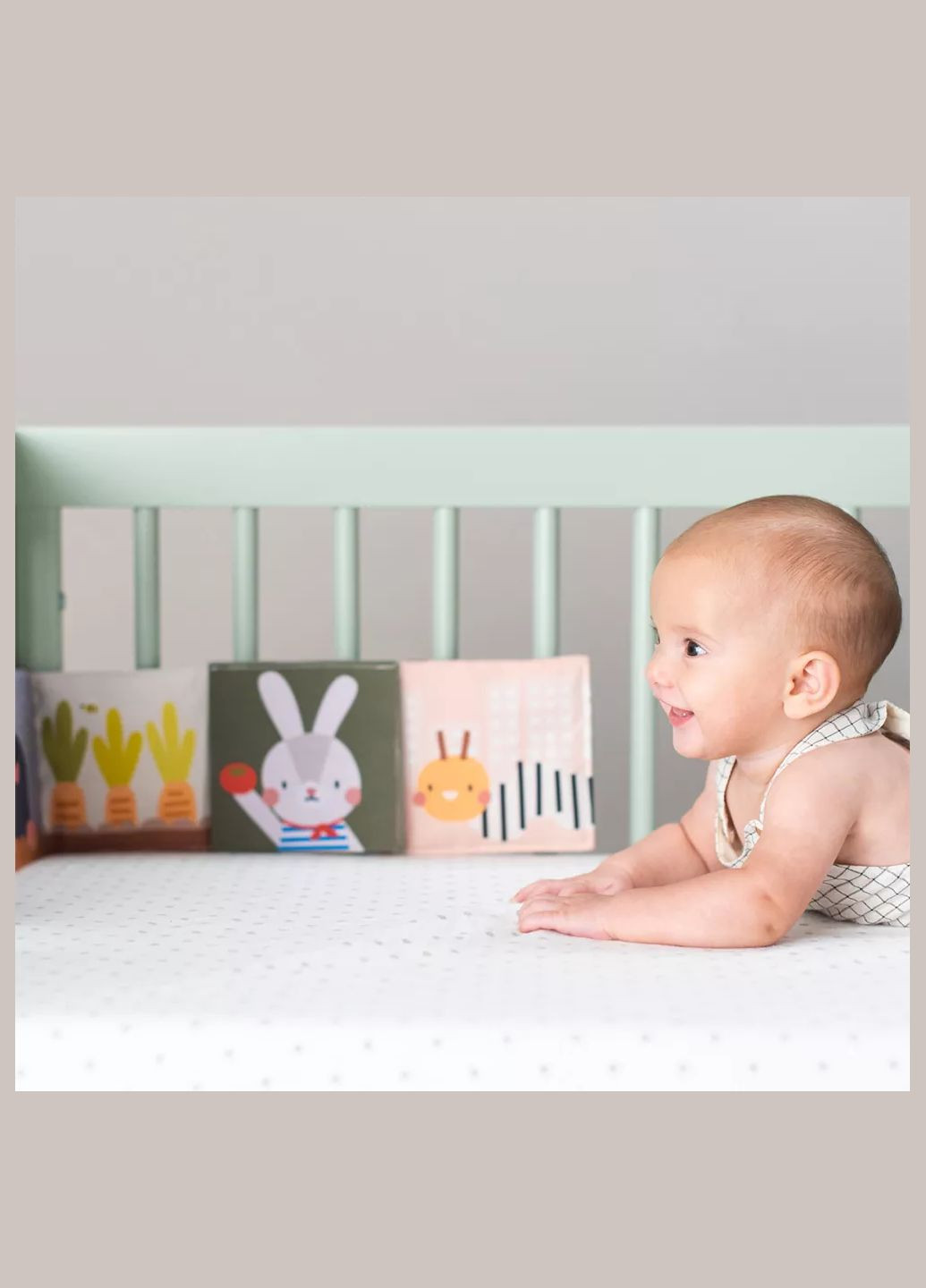 Книжка-розкладачка Садок у місті Зайчики (13065) Taf Toys (331164354)