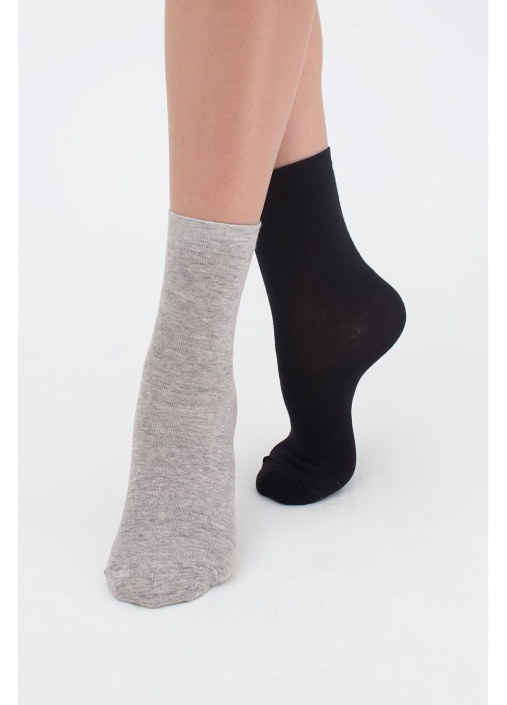 Комбинированные носки классические 2 пары Giulia однотонные (356519057)