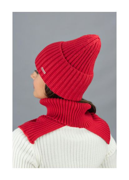 Жіночий комплект шапка, рукавички та баф Совон Braxton (370279084)