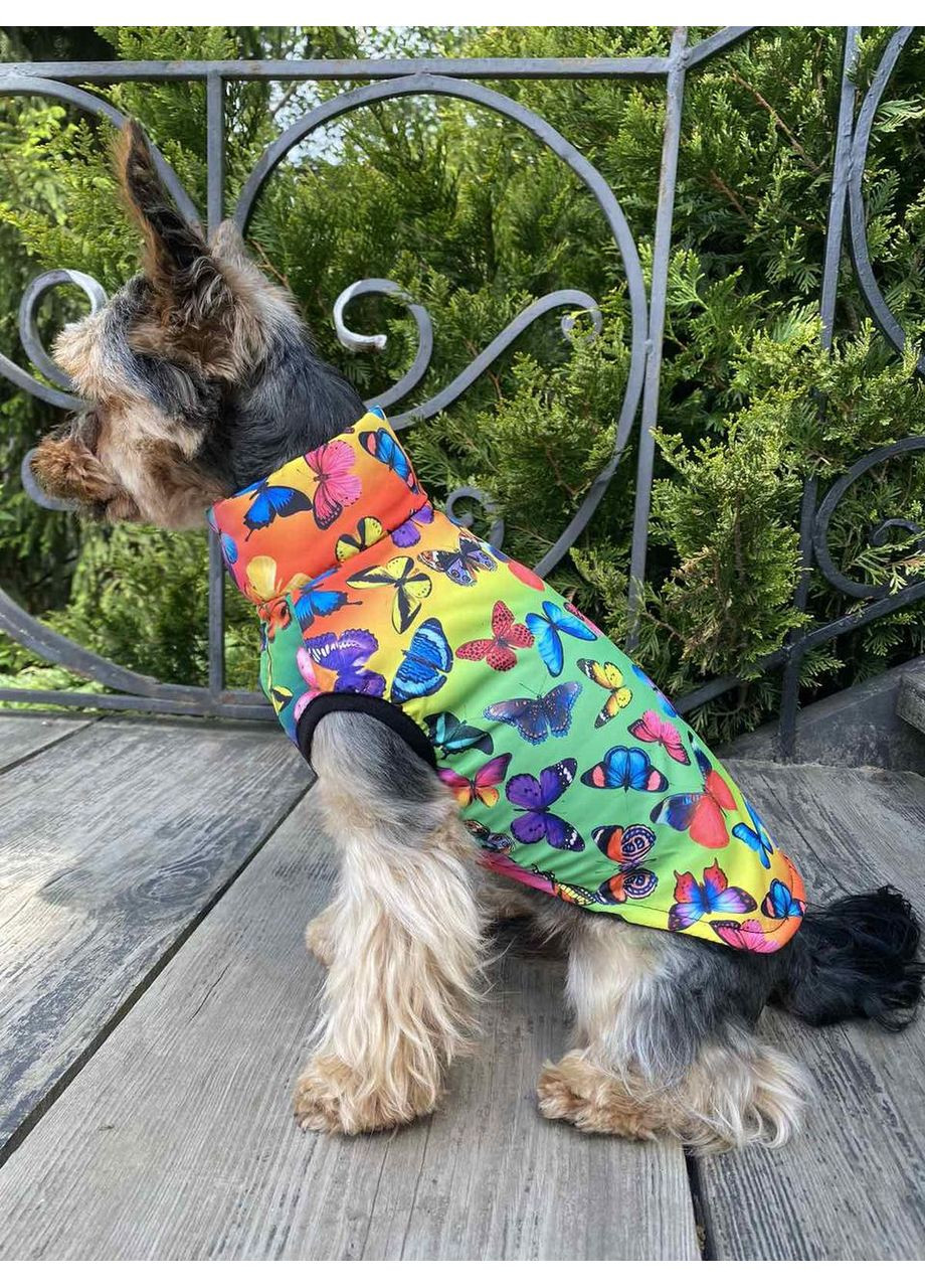 Вітровка-жилетка для собак XS No Brand (360884850)