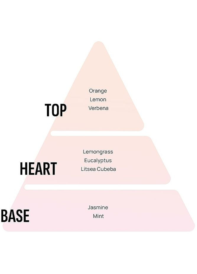 Аромадифузор "Лемонграс і лаванда" Home Perfume Lemongrass & Lavender Oil Reed Diffuser 150ml (1344234-13004405) Areon (368666624)