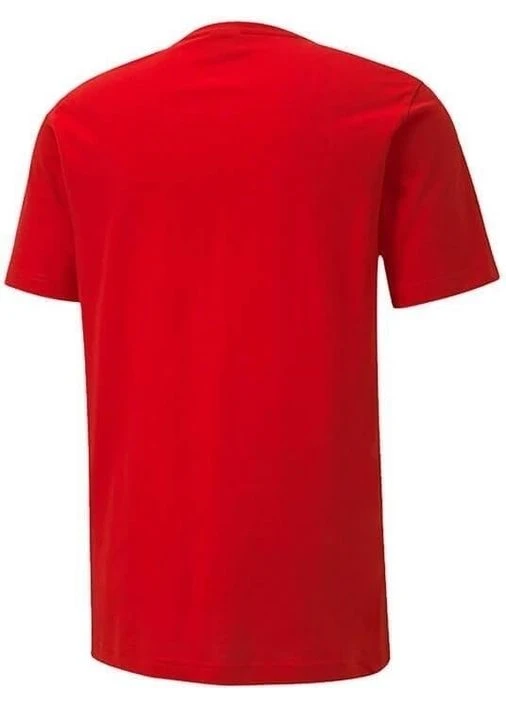 Червона футболка teamgoal 23 casuals tee red 656578-01 Puma