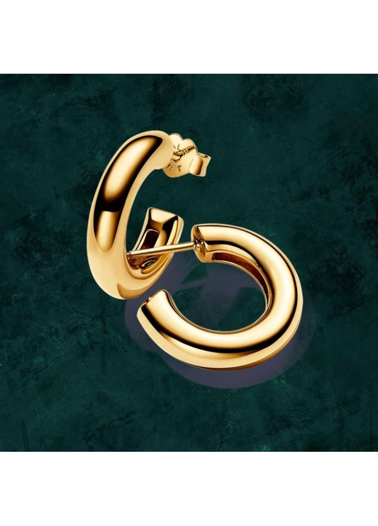 Срібні сережки відкриті хупи Pandora (Пандора) 263266C00 з покриттям 14к золотом No Brand (363028440)