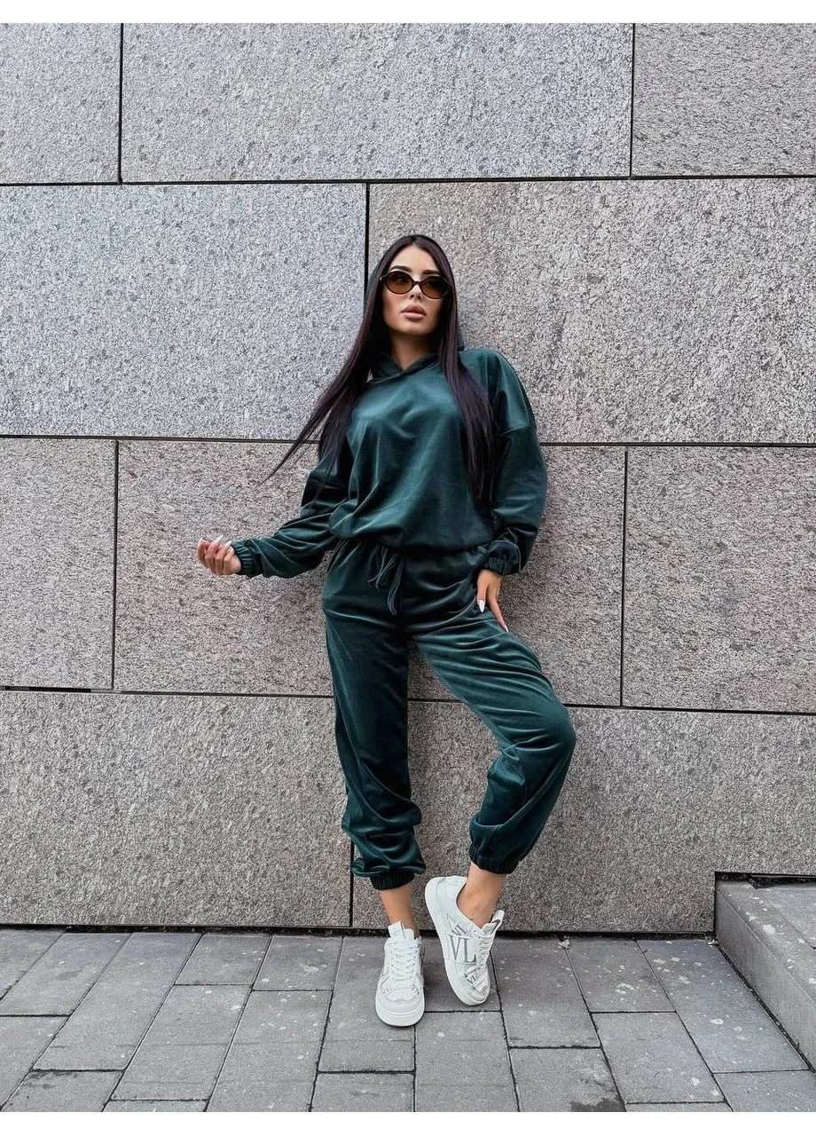 Жіночий велюровий костюм двійка Fashion (381022922)