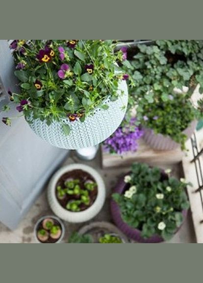 Вазон Cozies S 3,2 л бежевий Keter (316614947)