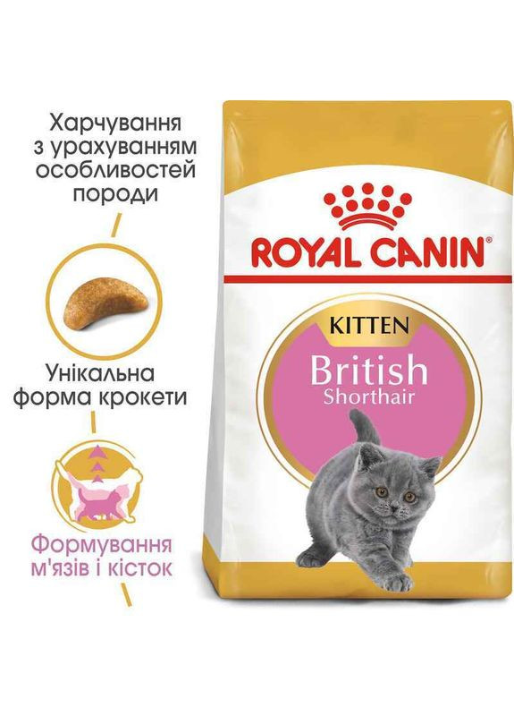 Сухий корм Kitten British Shorthair для кошенят породи британська короткошерстна 2 кг Royal Canin (278260522)