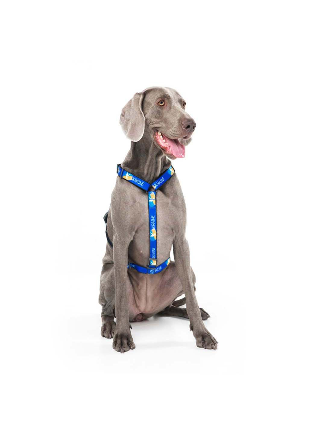 Шлея для собак анатомическая H-образная Nylon с QR паспортом Флаг L 50-90 х 60-100 см х 25 мм WAUDOG (292175440)