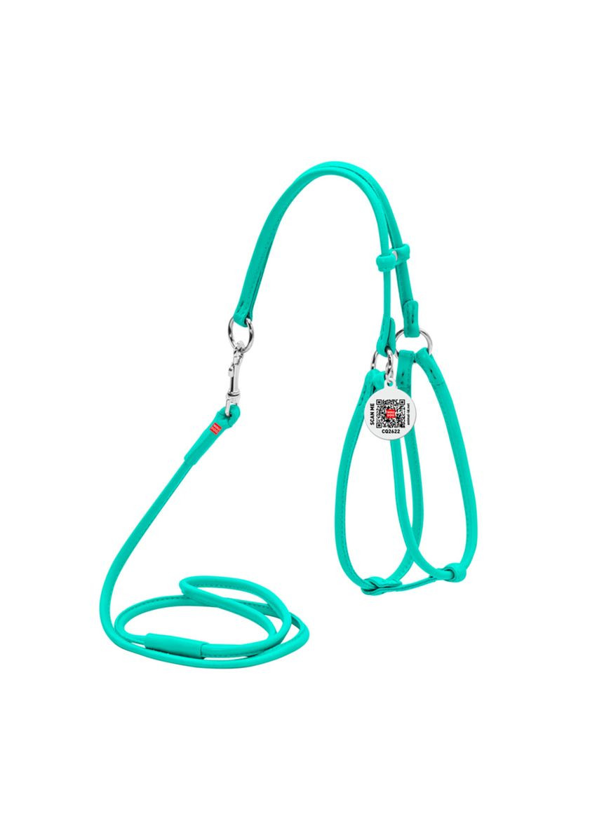 Шлея з повідцем для собак шкіряна Glamour Кругла Д 6 мм, А 42-60 см В 46-64 см Ментоловий WAUDOG (332879892)