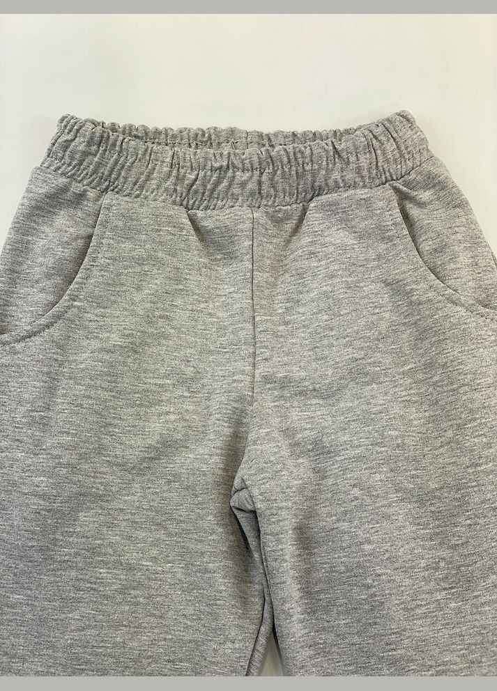 Утепленный спортивный костюм для девочки Фламинго (300000586)