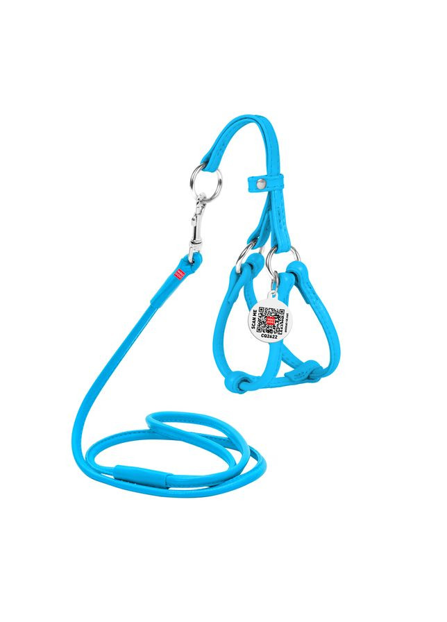 Шлея з повідцем для собак шкіряна Glamour з QR паспортом, кругла, Д 6 мм, А 26-46 см, В 30-50 см блакитний WAUDOG (326836176)