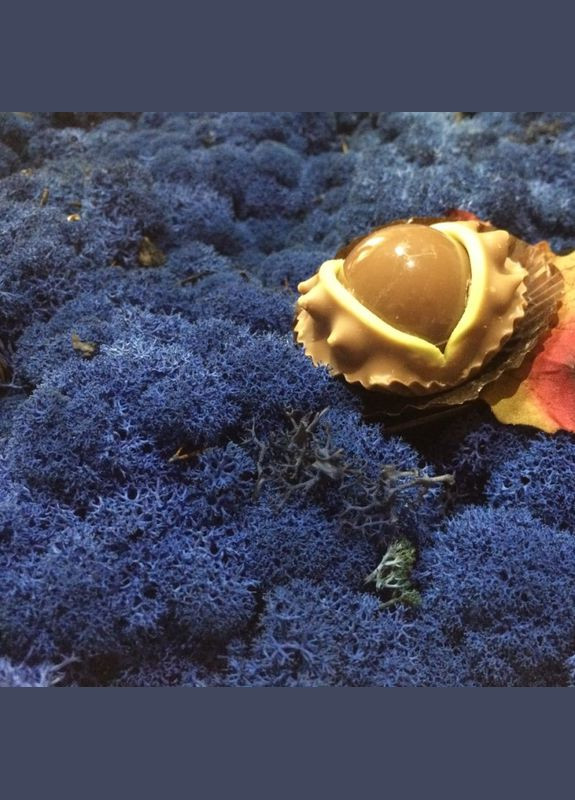 Очищенный стабилизированный мох ягель Синий лазурный 5 кг Nordic moss (276401081)