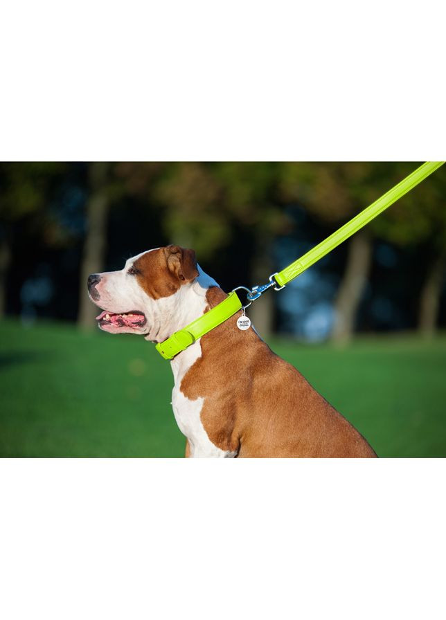 Поводок для собак WAUDOG кожаный салатовый 25мм 122см для больших пород крепкий поводок ProDobro (373221461)
